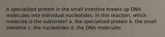 A specialized protein in <a href='https://www.questionai.com/knowledge/kt623fh5xn-the-small-intestine' class='anchor-knowledge'>the small intestine</a> breaks up DNA molecules into individual nucleotides. In this reaction, which molecule is the substrate? a. the specialized protein b. the small intestine c. the nucleotides d. the DNA molecules