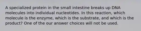 A specialized protein in the small intestine breaks up DNA molecules into individual nucleotides. In this reaction, which molecule is the enzyme, which is the substrate, and which is the product? One of the our answer choices will not be used.