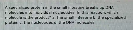 A specialized protein in the small intestine breaks up DNA molecules into individual nucleotides. In this reaction, which molecule is the product? a. the small intestine b. the specialized protein c. the nucleotides d. the DNA molecules