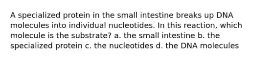 A specialized protein in the small intestine breaks up DNA molecules into individual nucleotides. In this reaction, which molecule is the substrate? a. the small intestine b. the specialized protein c. the nucleotides d. the DNA molecules