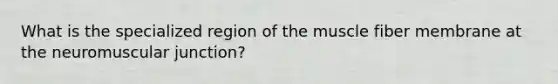 What is the specialized region of the muscle fiber membrane at the neuromuscular junction?