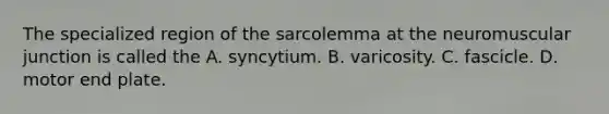 The specialized region of the sarcolemma at the neuromuscular junction is called the A. syncytium. B. varicosity. C. fascicle. D. motor end plate.