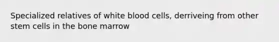 Specialized relatives of white blood cells, derriveing from other stem cells in the bone marrow