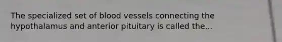 The specialized set of blood vessels connecting the hypothalamus and anterior pituitary is called the...