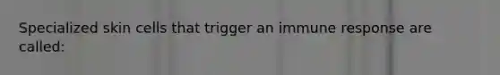 Specialized skin cells that trigger an immune response are called:
