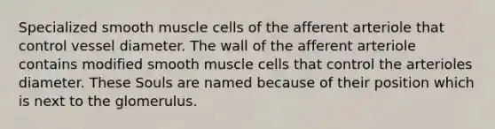 Specialized smooth muscle cells of the afferent arteriole that control vessel diameter. The wall of the afferent arteriole contains modified smooth muscle cells that control the arterioles diameter. These Souls are named because of their position which is next to the glomerulus.