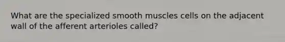 What are the specialized smooth muscles cells on the adjacent wall of the afferent arterioles called?