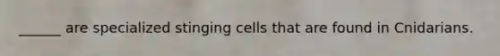 ______ are specialized stinging cells that are found in Cnidarians.