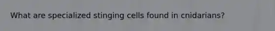 What are specialized stinging cells found in cnidarians?