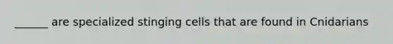 ______ are specialized stinging cells that are found in Cnidarians