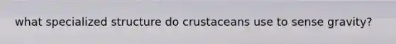 what specialized structure do crustaceans use to sense gravity?