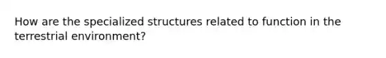 How are the specialized structures related to function in the terrestrial environment?