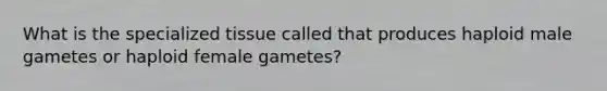 What is the specialized tissue called that produces haploid male gametes or haploid female gametes?