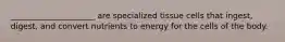 _____________________ are specialized tissue cells that ingest, digest, and convert nutrients to energy for the cells of the body.