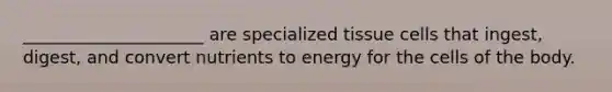 _____________________ are specialized tissue cells that ingest, digest, and convert nutrients to energy for the cells of the body.