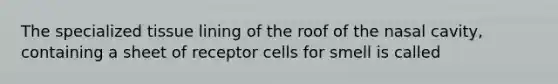 The specialized tissue lining of the roof of the nasal cavity, containing a sheet of receptor cells for smell is called