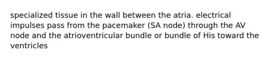 specialized tissue in the wall between the atria. electrical impulses pass from the pacemaker (SA node) through the AV node and the atrioventricular bundle or bundle of His toward the ventricles