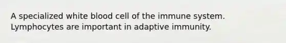 A specialized white blood cell of the immune system. Lymphocytes are important in adaptive immunity.