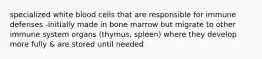 specialized white blood cells that are responsible for immune defenses -initially made in bone marrow but migrate to other immune system organs (thymus, spleen) where they develop more fully & are stored until needed