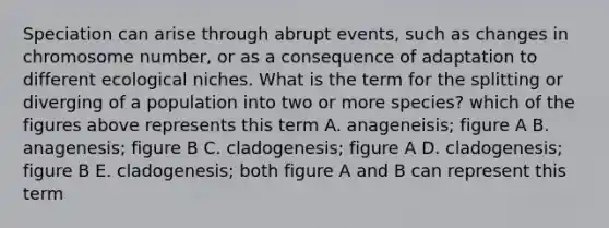 Speciation can arise through abrupt events, such as changes in chromosome number, or as a consequence of adaptation to different ecological niches. What is the term for the splitting or diverging of a population into two or more species? which of the figures above represents this term A. anageneisis; figure A B. anagenesis; figure B C. cladogenesis; figure A D. cladogenesis; figure B E. cladogenesis; both figure A and B can represent this term