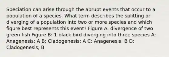 Speciation can arise through the abrupt events that occur to a population of a species. What term describes the splitting or diverging of a population into two or more species and which figure best represents this event? Figure A: divergence of two green fish Figure B: 1 black bird diverging into three species A: Anagenesis; A B: Cladogenesis; A C: Anagenesis; B D: Cladogenesis; B