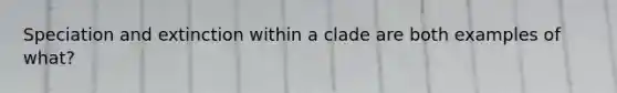 Speciation and extinction within a clade are both examples of what?