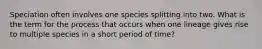 Speciation often involves one species splitting into two. What is the term for the process that occurs when one lineage gives rise to multiple species in a short period of time?