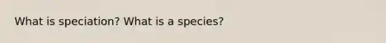 What is speciation? What is a species?