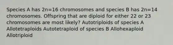 Species A has 2n=16 chromosomes and species B has 2n=14 chromosomes. Offspring that are diploid for either 22 or 23 chromosomes are most likely? Autotriploids of species A Allotetraploids Autotetraploid of species B Allohexaploid Allotriploid