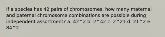 If a species has 42 pairs of chromosomes, how many maternal and paternal chromosome combinations are possible during independent assortment? a. 42^2 b. 2^42 c. 2^21 d. 21^2 e. 84^2