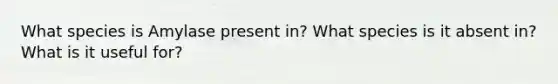 What species is Amylase present in? What species is it absent in? What is it useful for?