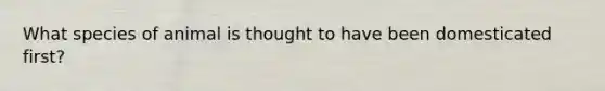 What species of animal is thought to have been domesticated first?