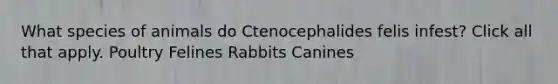 What species of animals do Ctenocephalides felis infest? Click all that apply. Poultry Felines Rabbits Canines