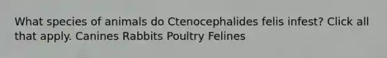 What species of animals do Ctenocephalides felis infest? Click all that apply. Canines Rabbits Poultry Felines