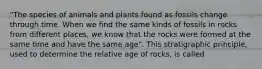 "The species of animals and plants found as fossils change through time. When we find the same kinds of fossils in rocks from different places, we know that the rocks were formed at the same time and have the same age". This stratigraphic principle, used to determine the relative age of rocks, is called