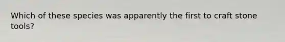 Which of these species was apparently the first to craft stone tools?