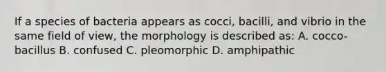 If a species of bacteria appears as cocci, bacilli, and vibrio in the same field of view, the morphology is described as: A. cocco-bacillus B. confused C. pleomorphic D. amphipathic