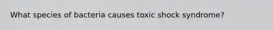 What species of bacteria causes toxic shock syndrome?