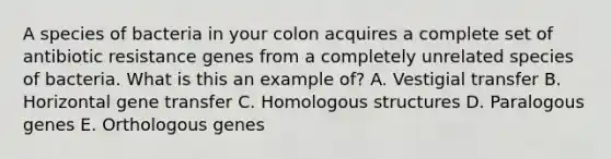 A species of bacteria in your colon acquires a complete set of antibiotic resistance genes from a completely unrelated species of bacteria. What is this an example of? A. Vestigial transfer B. Horizontal gene transfer C. Homologous structures D. Paralogous genes E. Orthologous genes