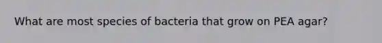 What are most species of bacteria that grow on PEA agar?