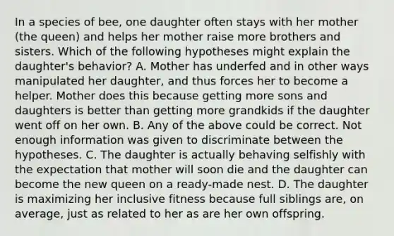 In a species of bee, one daughter often stays with her mother (the queen) and helps her mother raise more brothers and sisters. Which of the following hypotheses might explain the daughter's behavior? A. Mother has underfed and in other ways manipulated her daughter, and thus forces her to become a helper. Mother does this because getting more sons and daughters is better than getting more grandkids if the daughter went off on her own. B. Any of the above could be correct. Not enough information was given to discriminate between the hypotheses. C. The daughter is actually behaving selfishly with the expectation that mother will soon die and the daughter can become the new queen on a ready-made nest. D. The daughter is maximizing her inclusive fitness because full siblings are, on average, just as related to her as are her own offspring.