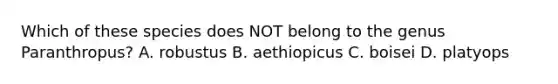 Which of these species does NOT belong to the genus Paranthropus? A. robustus B. aethiopicus C. boisei D. platyops