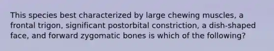 This species best characterized by large chewing muscles, a frontal trigon, significant postorbital constriction, a dish-shaped face, and forward zygomatic bones is which of the following?