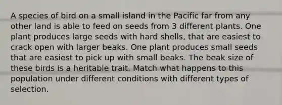 A species of bird on a small island in the Pacific far from any other land is able to feed on seeds from 3 different plants. One plant produces large seeds with hard shells, that are easiest to crack open with larger beaks. One plant produces small seeds that are easiest to pick up with small beaks. The beak size of these birds is a heritable trait. Match what happens to this population under different conditions with different types of selection.