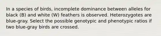 In a species of birds, incomplete dominance between alleles for black (B) and white (W) feathers is observed. Heterozygotes are blue-gray. Select the possible genotypic and phenotypic ratios if two blue-gray birds are crossed.