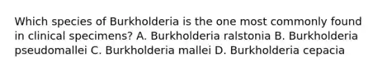 Which species of Burkholderia is the one most commonly found in clinical specimens? A. Burkholderia ralstonia B. Burkholderia pseudomallei C. Burkholderia mallei D. Burkholderia cepacia