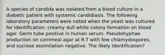 A species of candida was isolated from a blood culture in a diabetic patient with systemic candidiasis. The following laboratory parameters were noted when the yeast was cultured for identification: creamy dull white colony formation on blood agar. Germ tube positive in human serum. Pseudohyphae production on cornmeal agar at R.T with few chlamydospores, and sucrose assimilation negative. The likely Identification?