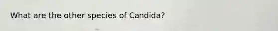 What are the other species of Candida?