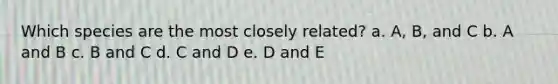 Which species are the most closely related? a. A, B, and C b. A and B c. B and C d. C and D e. D and E