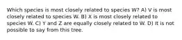 Which species is most closely related to species W? A) V is most closely related to species W. B) X is most closely related to species W. C) Y and Z are equally closely related to W. D) It is not possible to say from this tree.